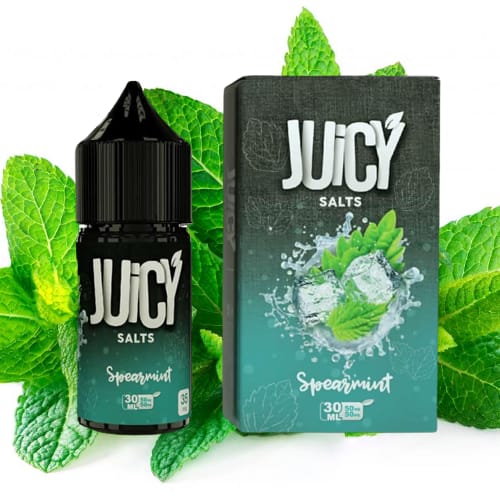 Juicy Salts Spearmint Saltnic Same Day Vape Delivery in Dubai