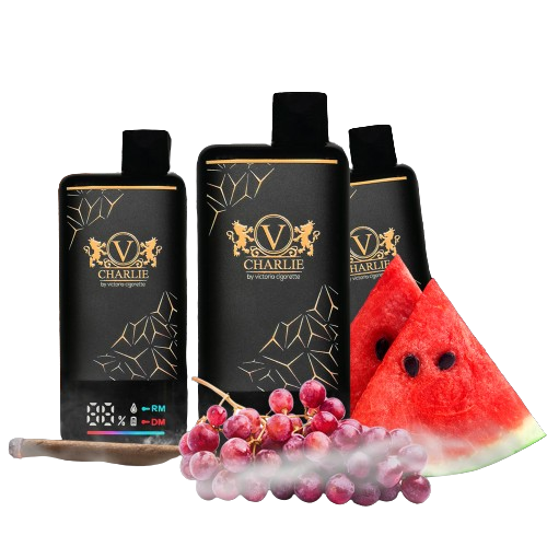 V - Charlie Disposable Pod Device (15000 Puffs) | Abu Dhabi & Dubai | KSA Vape For Less V - Charlie Disposable Pod Device (15000 Puffs) | Abu Dhabi & Dubai | KSA Vape For Less