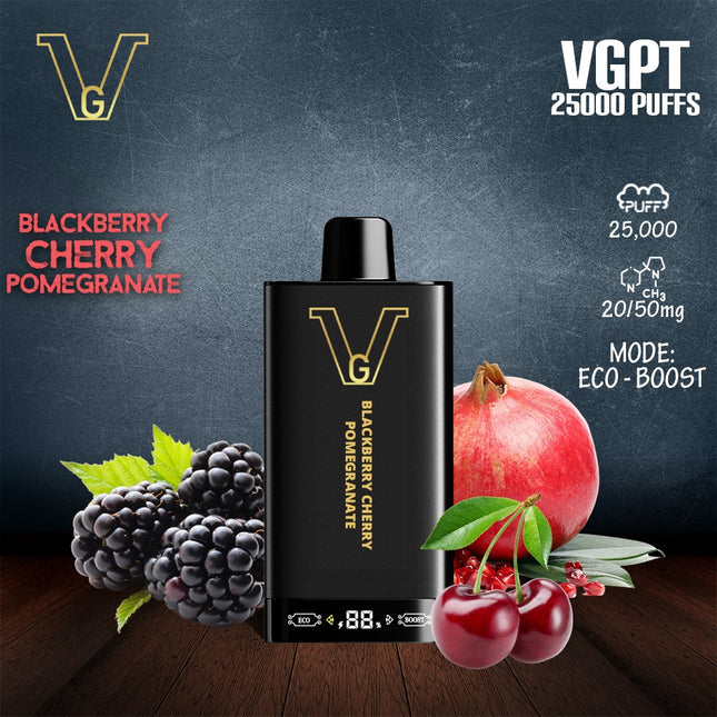 VGPT 25K Disposable Vape (25,000 Puffs) best disposable Abu Dhabi 2025
