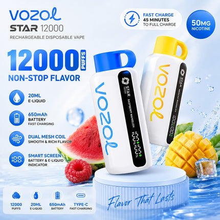Vozol Star 12K Rechargeable Disposable Vape (12,000 Puffs) Vape Online Fujairah Ruwais Ajman