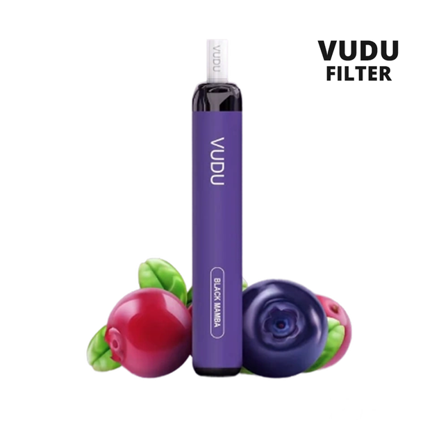 Shop Best E-Cigarette Dubai - VUDU Filter Disposable Vape 2500 Puffs - Vape For Less