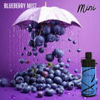 3 mg / Blueberry Mist