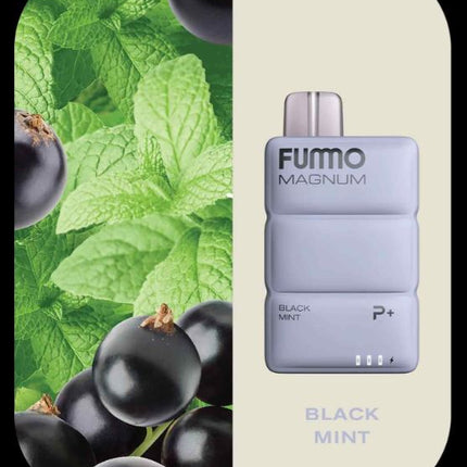 Fummo Magnum Disposable Vape (8,000 Puffs) VAPE ONLINE AJMAN
