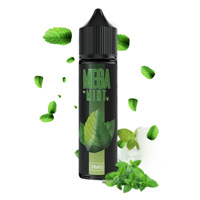 Mega Mint 60ml E Liquid Grand E Liquid Same Day Vape Delivery in Abu Dhabi