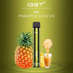 Pineapple Juice Ice