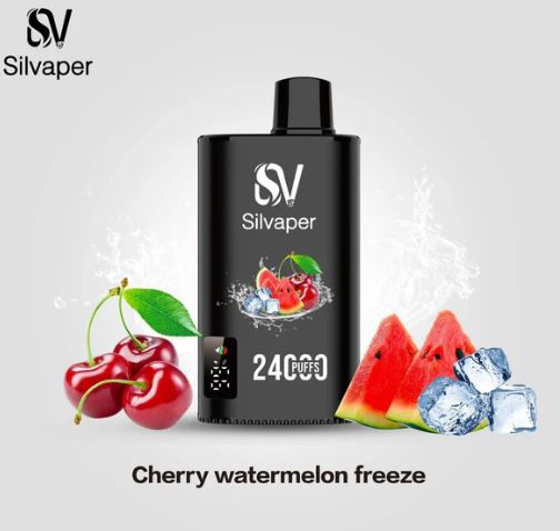 Silvaper Rechargeable Disposable Vape (24,000 Puffs) Vape Delivery Online Ajman