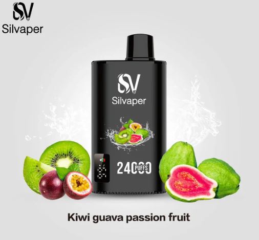 Silvaper Rechargeable Disposable Vape (24,000 Puffs) Vape Offer Online Fujairah