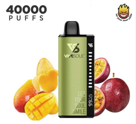 Vape Soul Zinger 40K Rechargeable Disposable Vape (40,000 Puffs) Disposable Vape Delivery Dubai