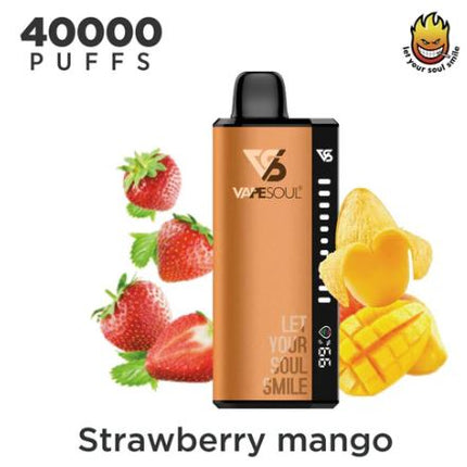 Vape Soul Zinger 40K Rechargeable Disposable Vape (40,000 Puffs) Delivery Vape noon
