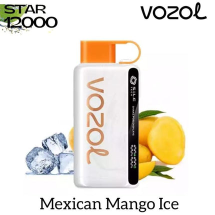 Vozol Star 12K Rechargeable Disposable Vape (12,000 Puffs) Vape Offer Dubai Dutyfree