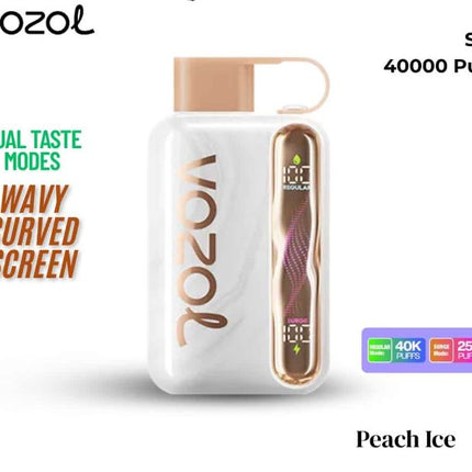 Vozol Star 40K Rechargeable Disposable Vape (40,000 Puffs) Vape Online  Order Sharjah