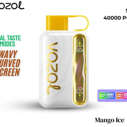 Vozol Star 40K Rechargeable Disposable Vape (40,000 Puffs) Vape Online Delivery RAK KSA