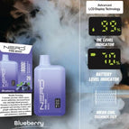 Blueberry / 20MG ( 2% )