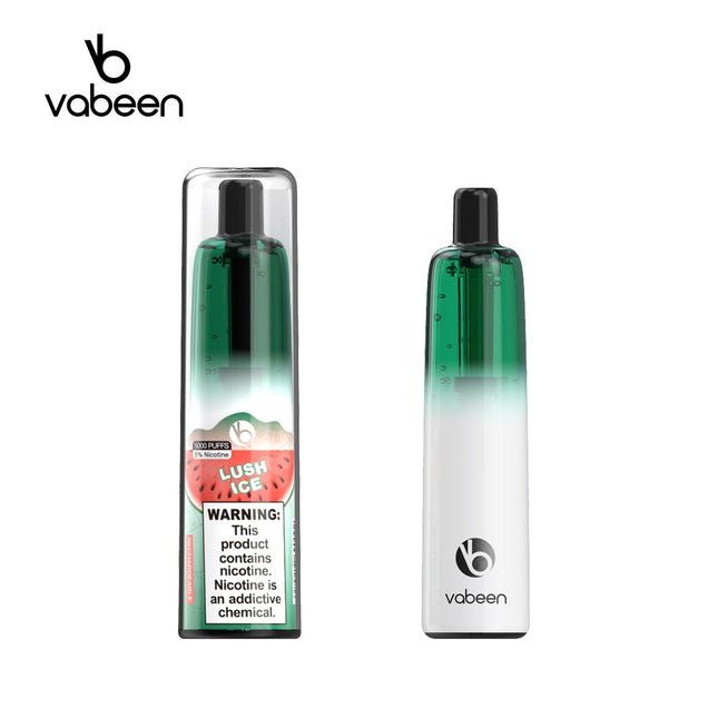 Vabeen Plum Disposable Vape (5,000 Puffs) Best Vape Shop in UAE 2025
