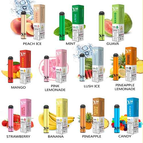 XTRA Mini Disposable Vaporiser 800 puffs Pods Best Vape in Dubai 2025